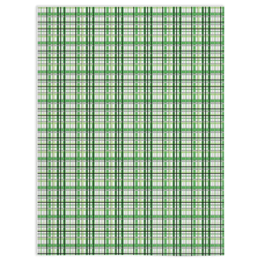 Aromantic Madras Plaid Pride Minky Blankets