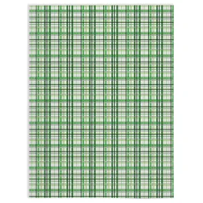 Aromantic Madras Plaid Pride Minky Blankets