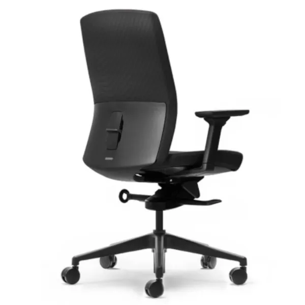 Aveya Task Chair
