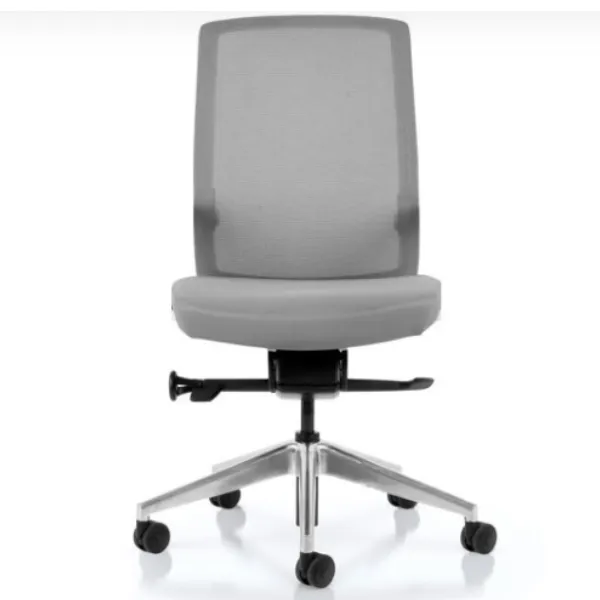 Aveya Task Chair