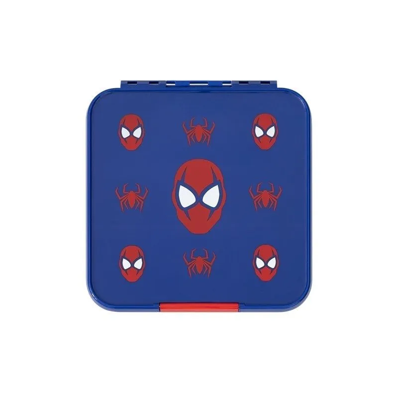 Bento 5 Lunch Boxes