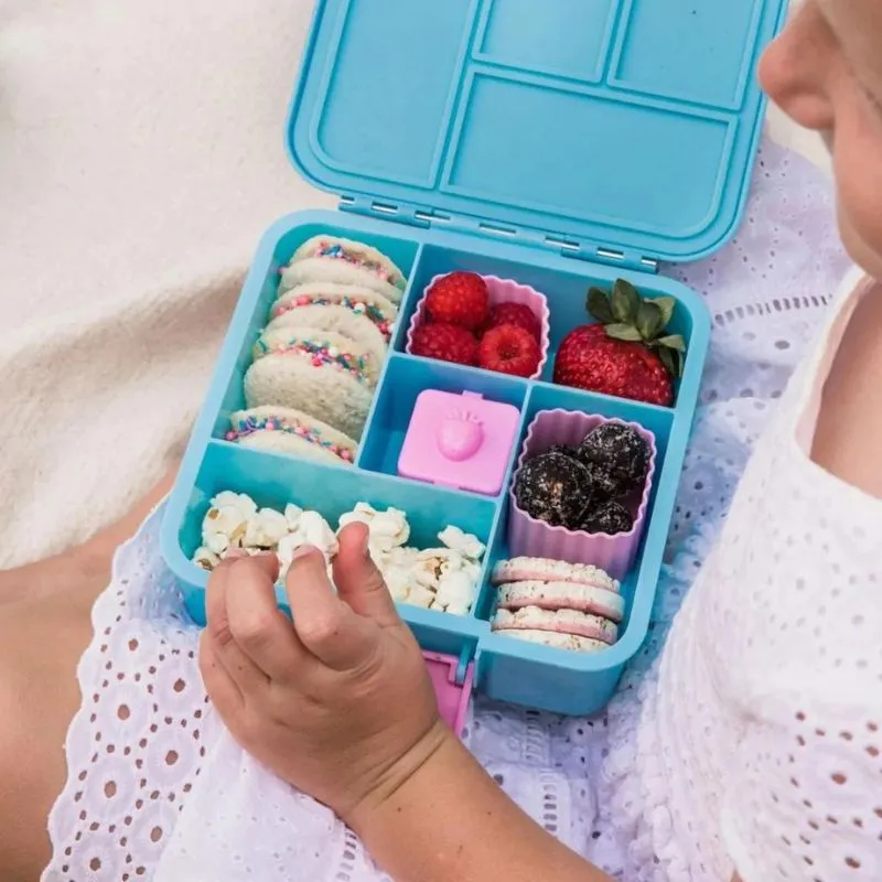 Bento 5 Lunch Boxes