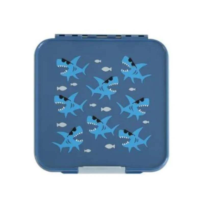 Bento 5 Lunch Boxes