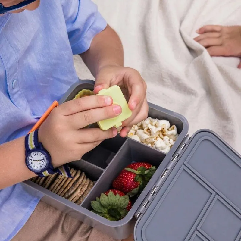 Bento 5 Lunch Boxes
