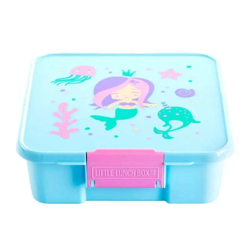 Bento 5 Lunch Boxes