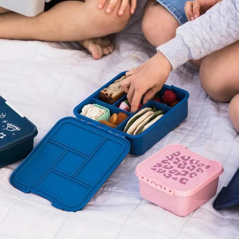 Bento 5 Lunch Boxes