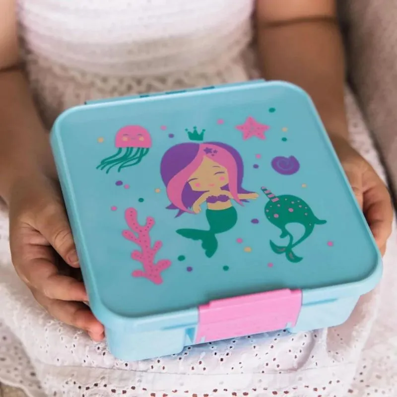 Bento 5 Lunch Boxes