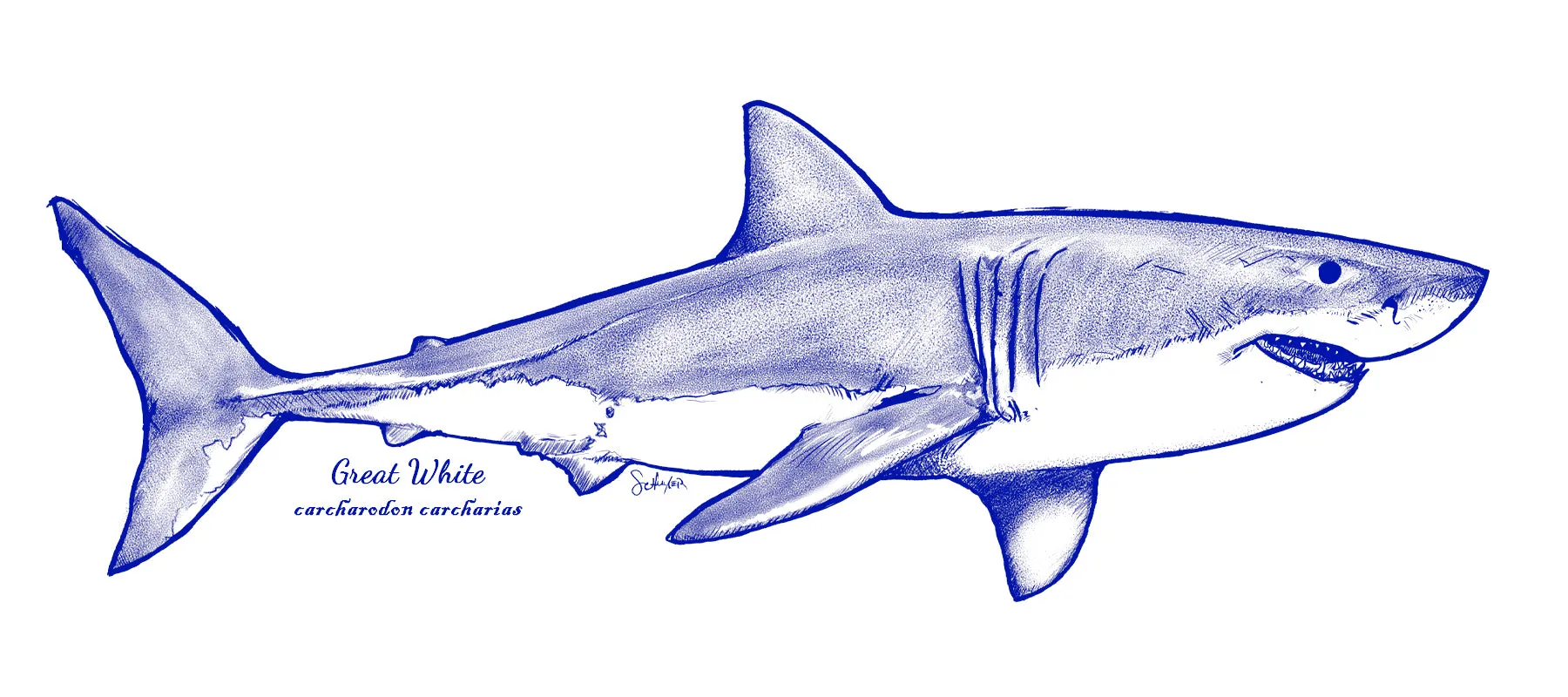 Great White Shark - In-Glaze Decal - Mug