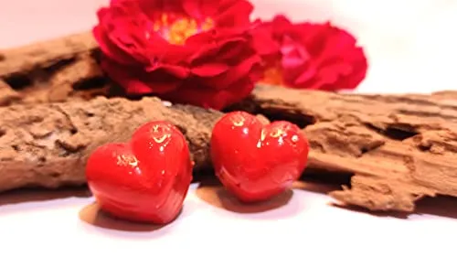 Kush Handicrafts Desire of Dark Rose Aromatic Candles Romantic Valentines Gift Idea (Transparent Rose Jar)