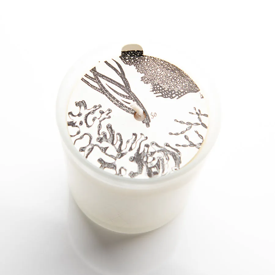 Ocean & Oakmoss - Diamond Etched Jar Candle